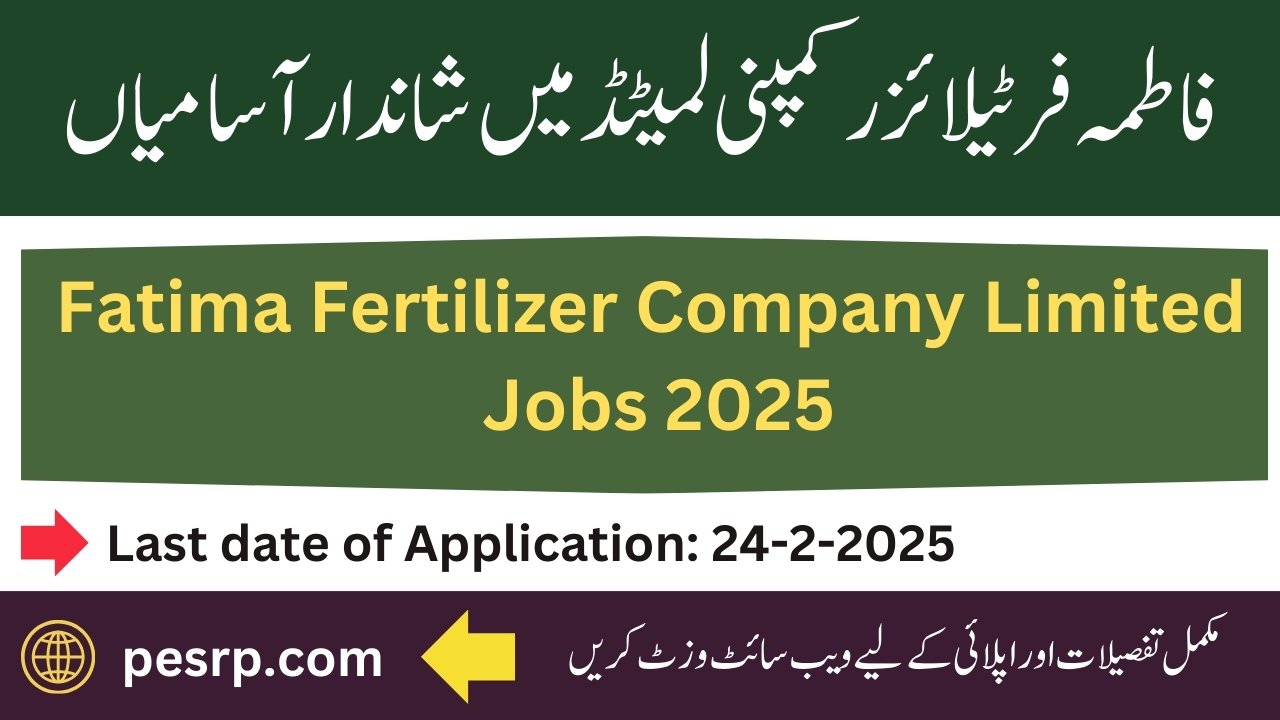 FF company limited jobs2025