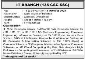 PAF IT Branch Jobs 2025 joinpaf.gov.pk