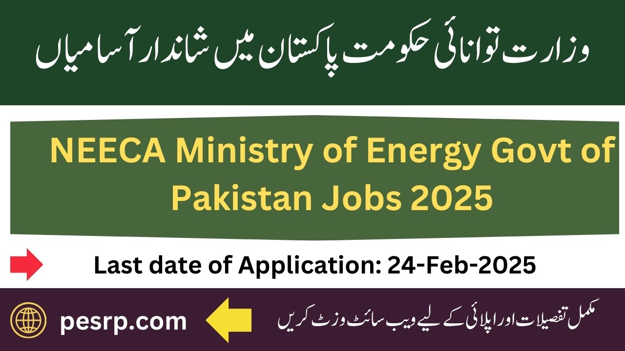 National Energy Efficiency & Conservation Authority Jobs 2025