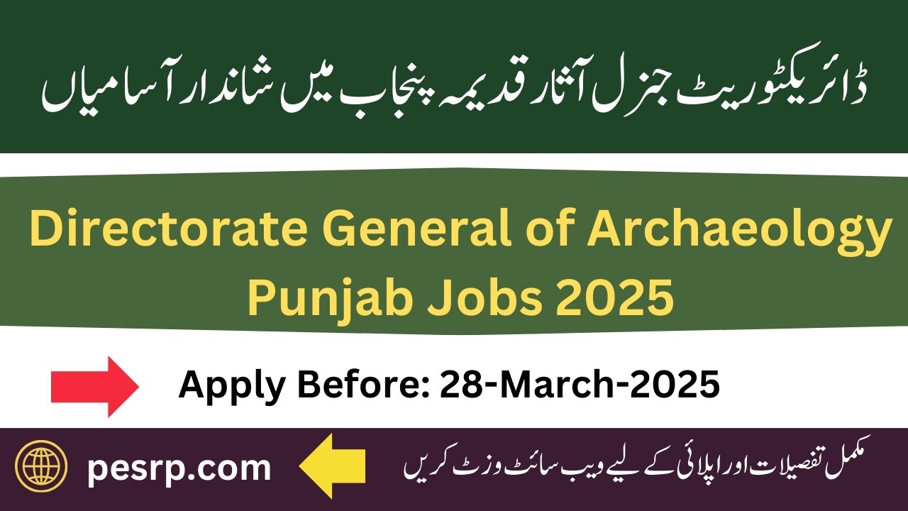 Capacity Building of Directorate General of Archaeology Jobs 2025