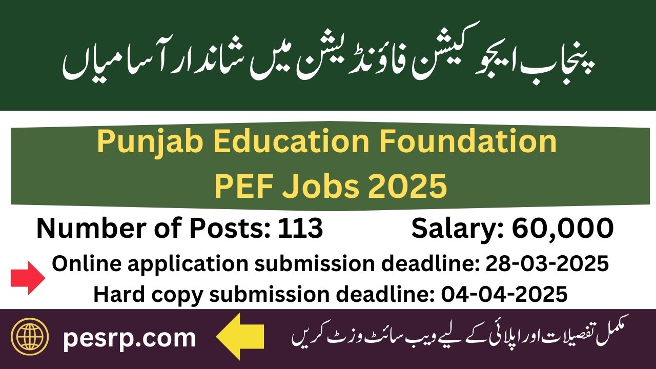 PEF Jobs 2025