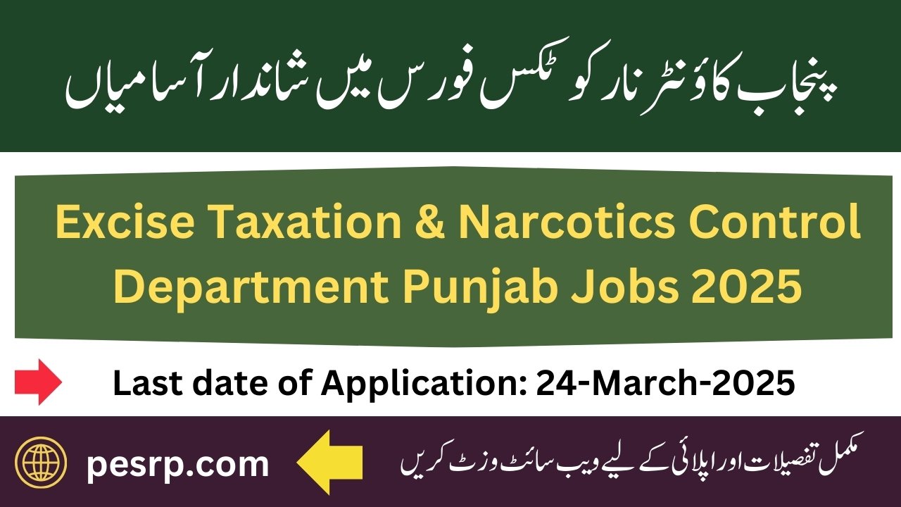 Punjab counter Narcotics Force Jobs 2025