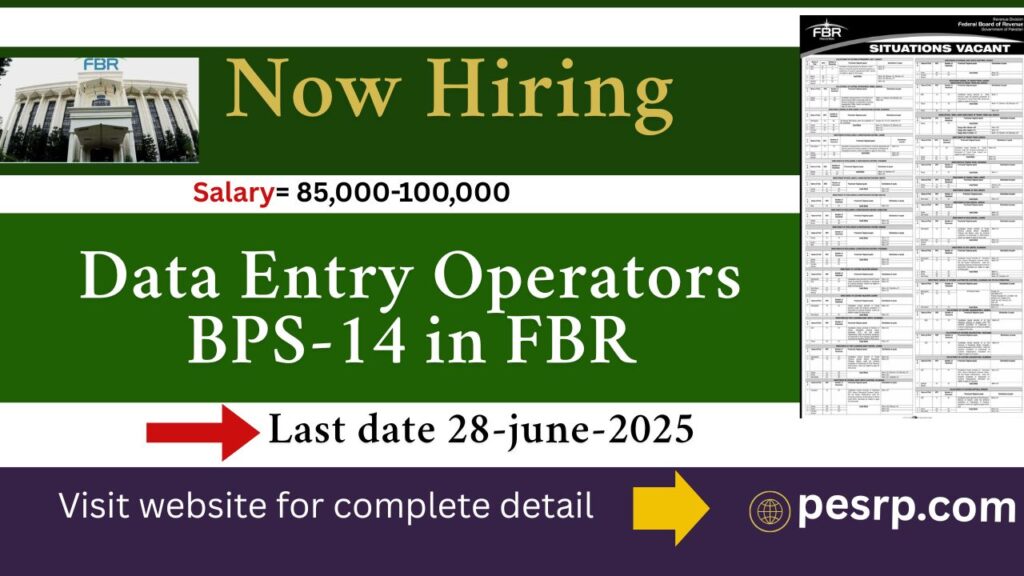 Data Entry jobs in FBR