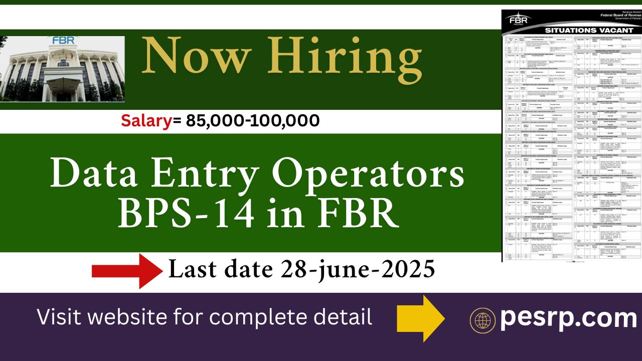 Data Entry jobs in FBR